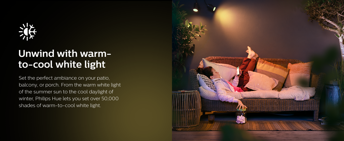 Philips Hue Ambiance Resonate Wall Lantern